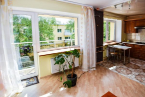 NeriesApartment No.1 Holidays By J. Basanaviciaus